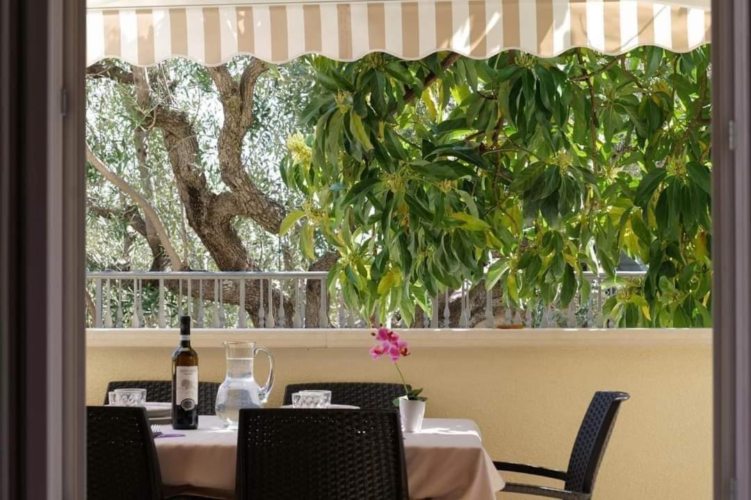 Case Vacanze La Quercia Marina di Camerota Buitenkant foto
